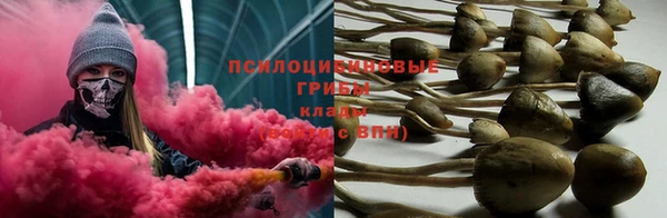 spice Белоозёрский